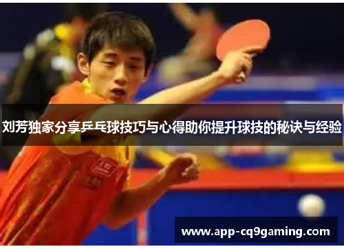 刘芳独家分享乒乓球技巧与心得助你提升球技的秘诀与经验