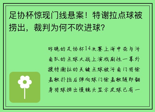 足协杯惊现门线悬案！特谢拉点球被捞出，裁判为何不吹进球？